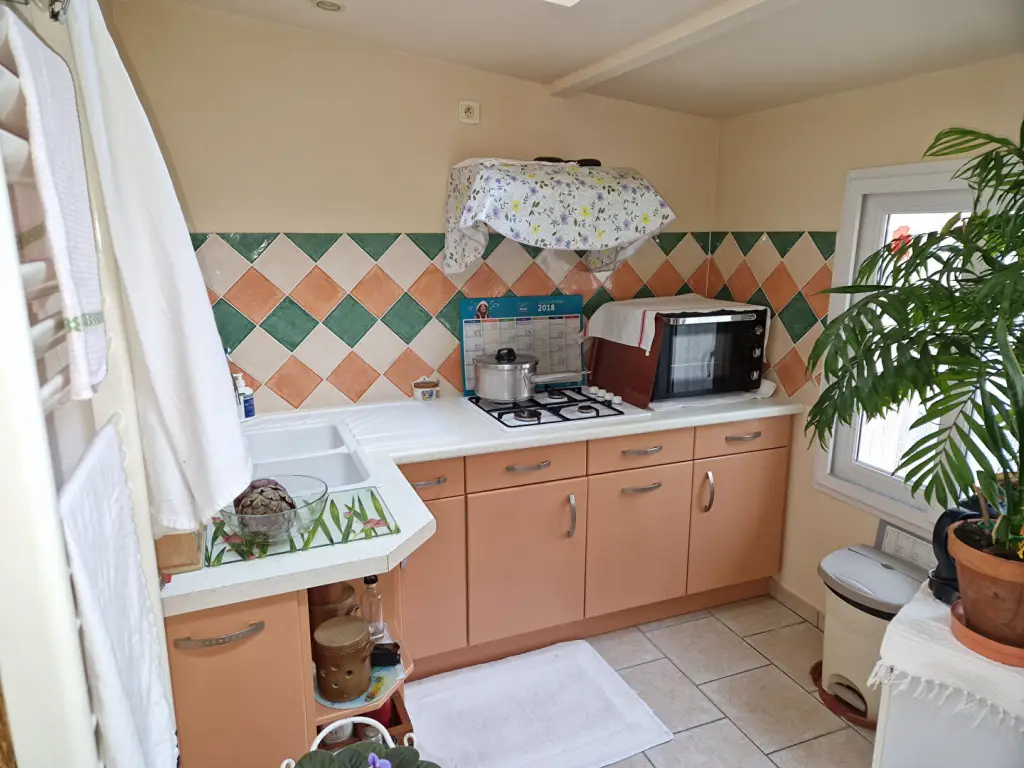 Maison à vendre la loupe 28240 - 3 pièces - 1052